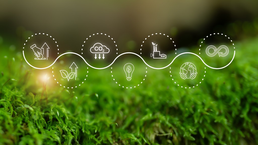 The Carma carbon vetting lifecycle, from measurement through to verified climate impact